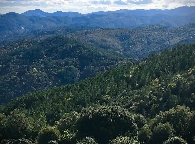 Appartement Très Belle Vue Au Cœur Des Cévennes *